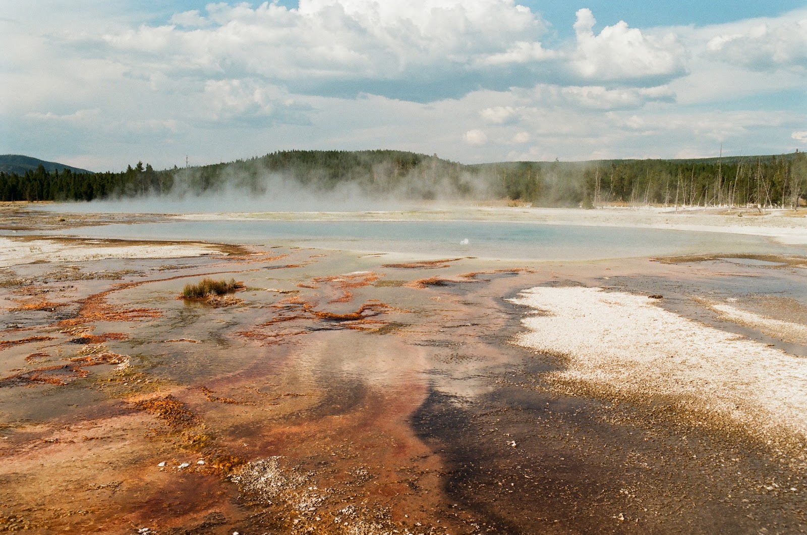 Hydrothermal Features of Yellowstone