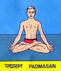 PADHM ASANA