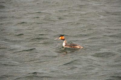 Deeping Lakes Photo