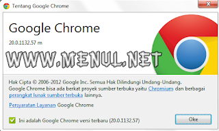 Google Chrome 20.0.1132.57