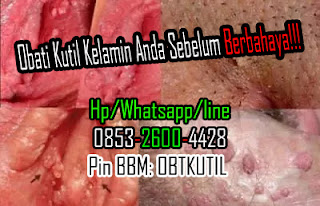 Gambar kutil kelamin seperti kembang kol dan jengger ayam