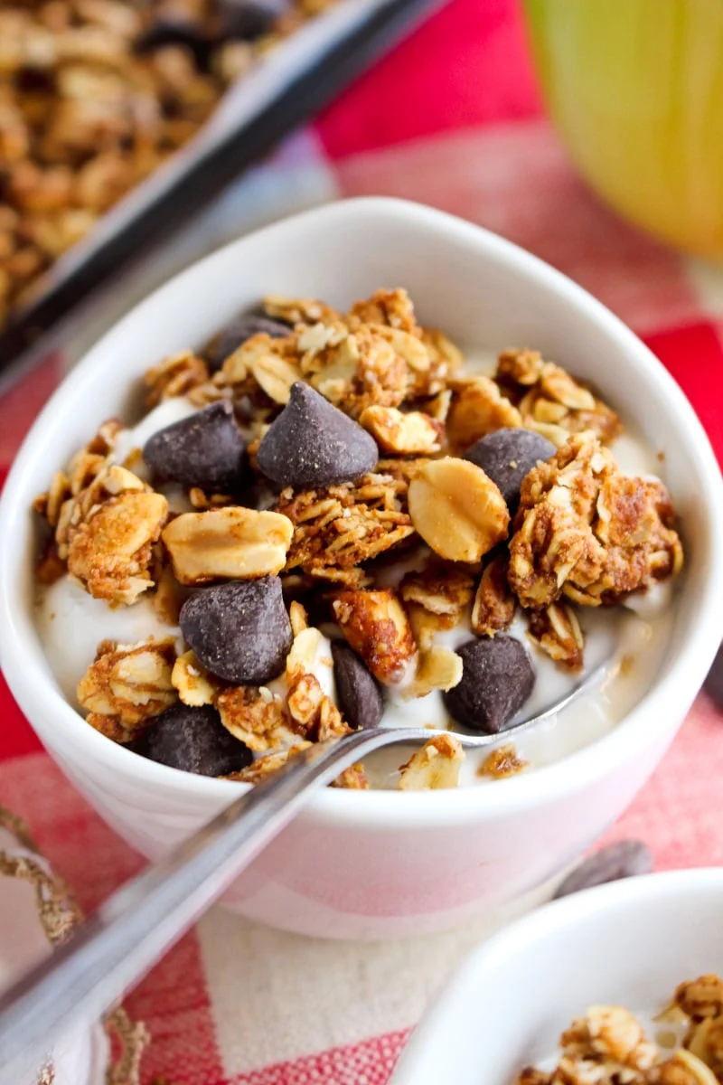 Side view of a white bowl of yogurt topped with Chocolate Chip Peanut Butter Granola on a red and white checkered background.