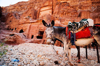 http://www.egyptonlinetours.com/Egypt-All-Packages/Egypt-Jordan-Tour-Packages/Egypt-and-Jordan-Tour.php