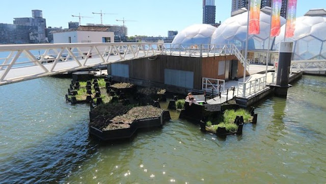 Rotterdam-jardín-flotante-creado-con-plástico-reciclado-de-ríos