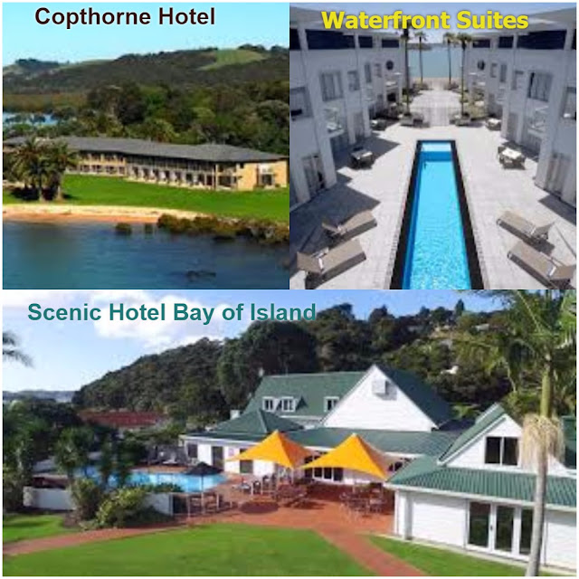 Visit cheap best hotel of New Zealand with luxurious comfort, explore New Zealand beach and have fun, love peace, drink  and fast