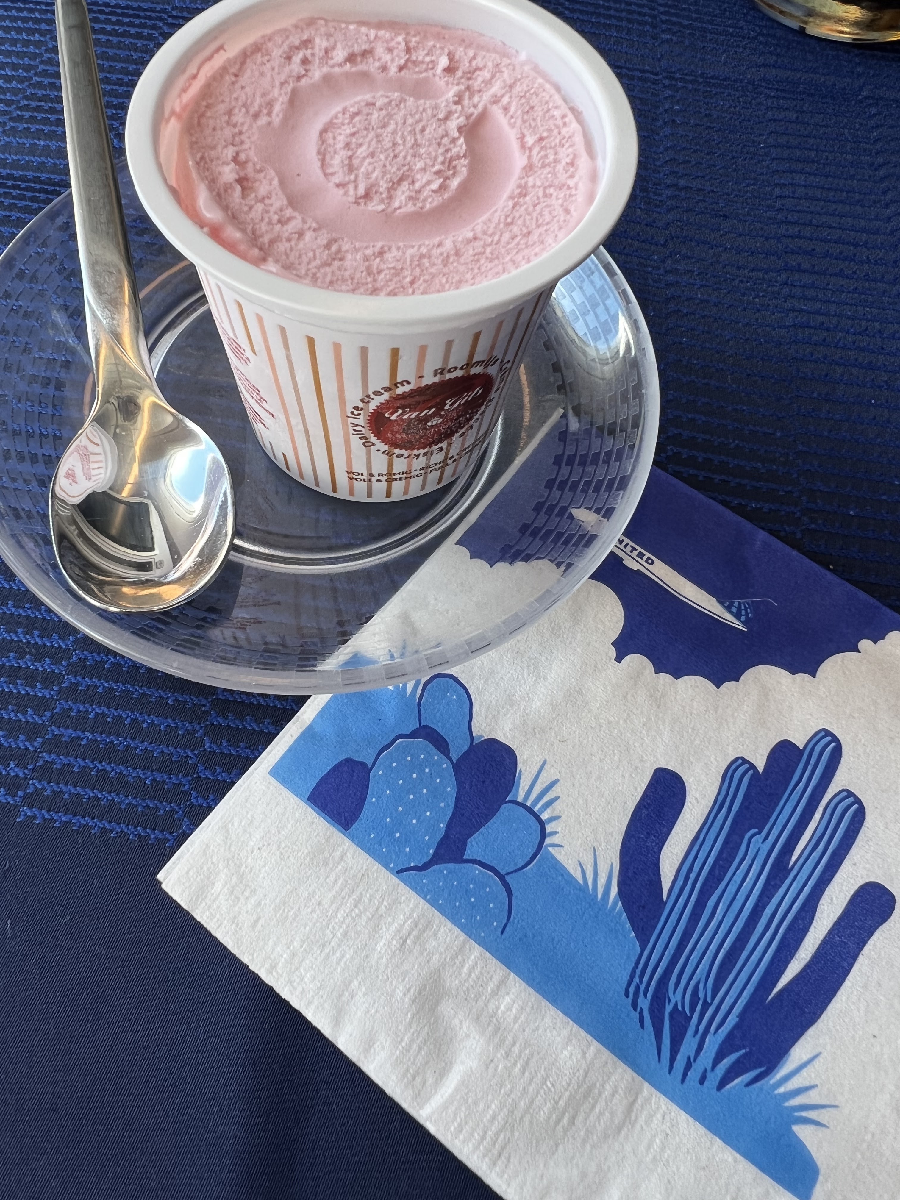 United Polaris_Business Class Ice Cream