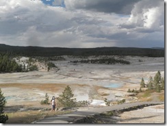 yellowstone ours 50