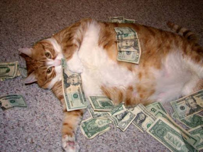 Cute and Funny Pictures of Fat Cats