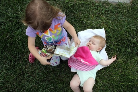 IMG_2608 IMG_2608