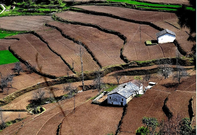 Dhanachuli-Mukteshwar-Uttarakhand