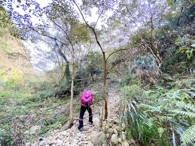 離乾溪谷登山口