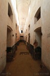 IMG_0720