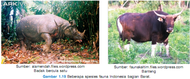 Keragaman Flora dan Fauna  di Indonesia bag 2 habis 