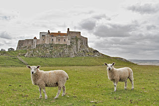 Lindisfarne Castle by Cornelia Schulz