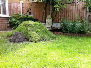 Wilson giant land tortoise living sculpture by Meera LYNN