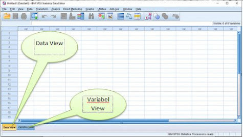 Data editor pada SPSS terdapat 2 jendela utama yaitu variabel view dan data view