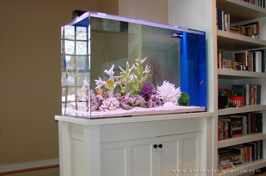 Aquariums at Home