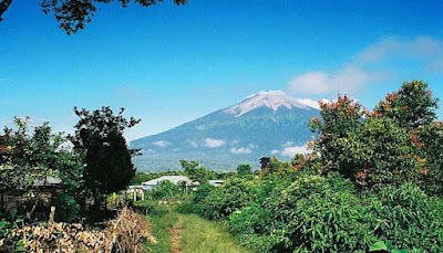 Warisan Hutan Hujan Tropis Sumatera