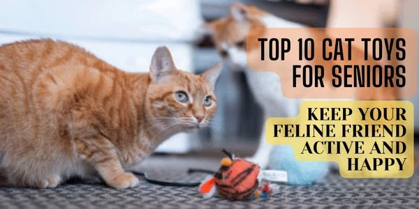 Top 10 Cat Toys for Seniors