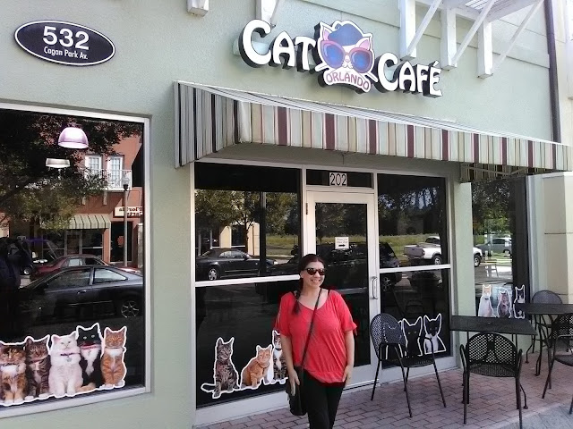 ComeSeeOrlando com NOW OPEN Orlando Cat Cafe 