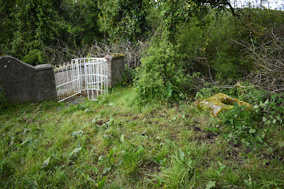 Saint Fortchern's Well and Oratory