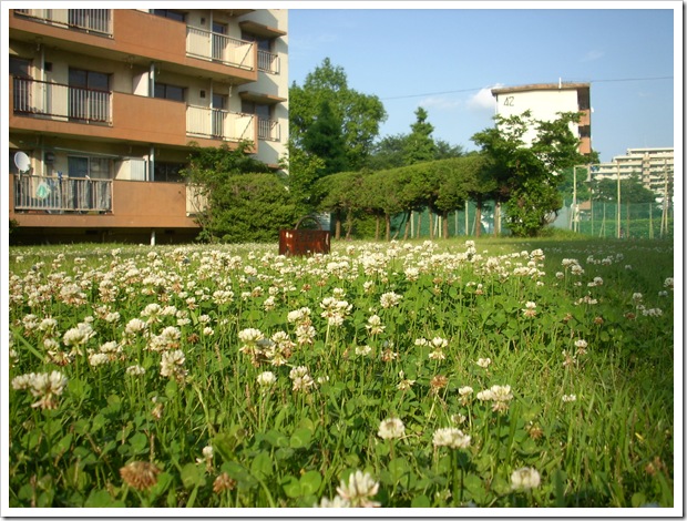 20120527_164237