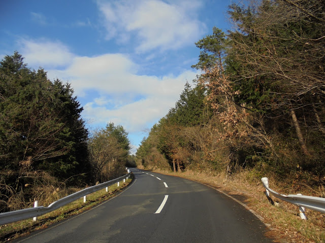 美しい森を抜ける道でこの日は自動車に遭遇しませんでした