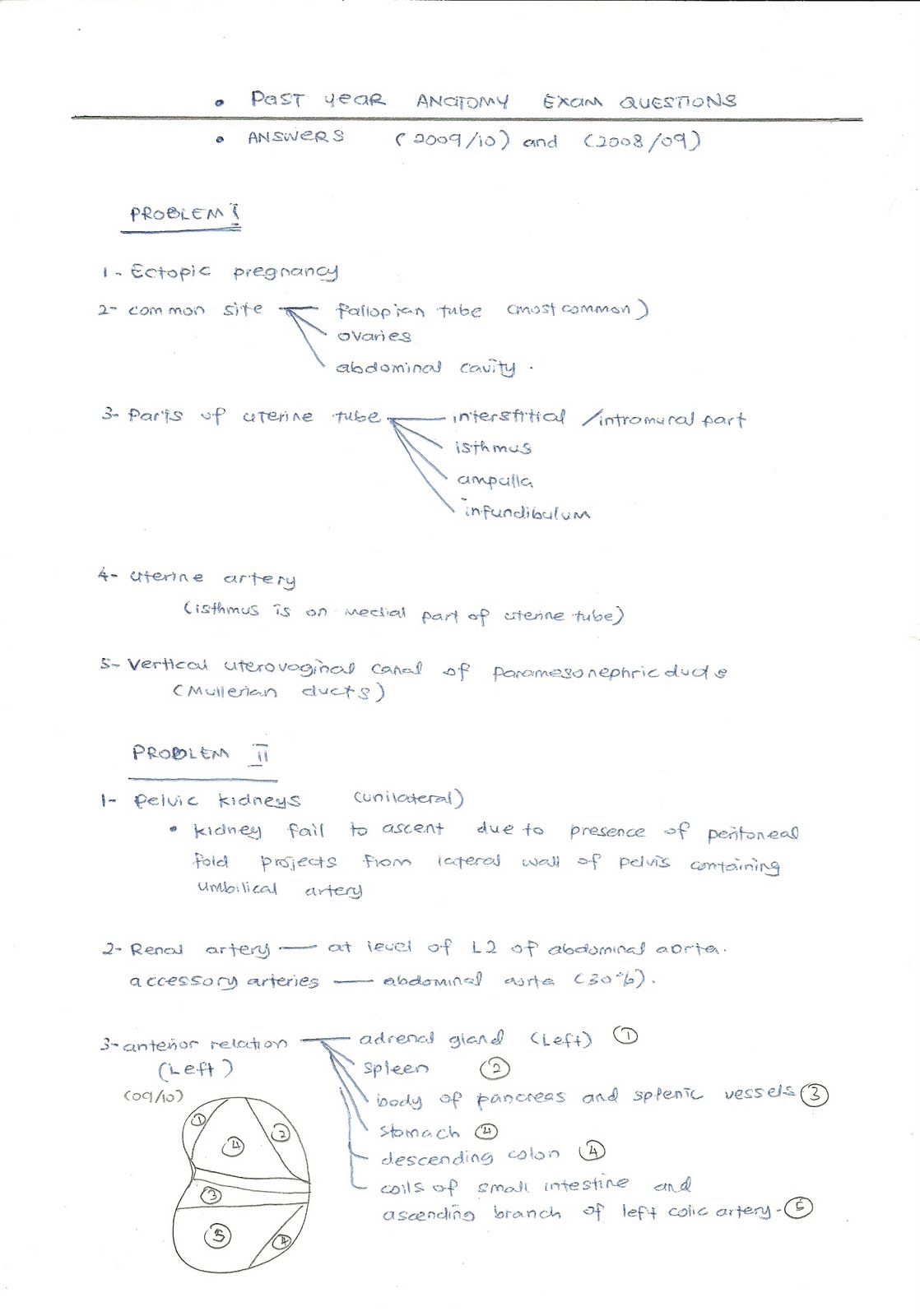 Skema Jawapan Past Year Question Uitm 2019 Adinasinc