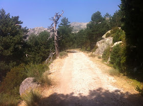 Ruta por las Zetas de La Pedriza, agosto 2013