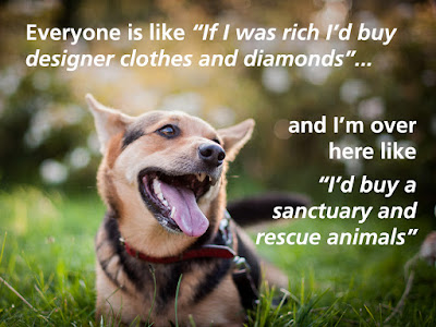 dog sanctuary rescue
