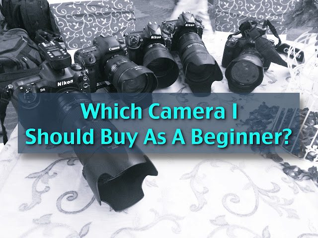 which camera i should buy