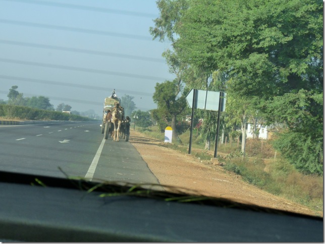 2008.12_india_1088