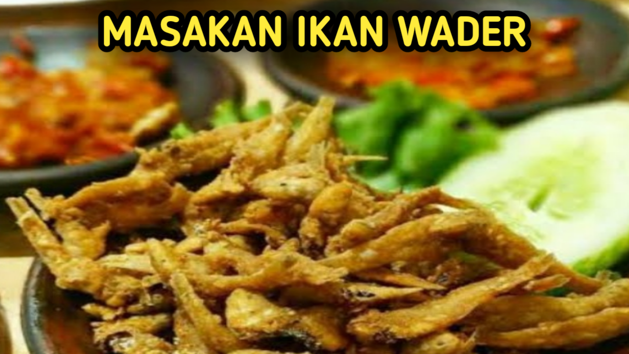 Resep Ikan Wader; Ketumbar Bawang Putih Kunyit  Garam Tepung Haluskan Ketumbar, Bawang Putih, Kunyit dan garam Ikan Wader campur dengan bumbu yang sudah dihaluskan sampai merata Diamkan kuarang lebih Sepuluh menit sampai bumbu meresap ke ikan sungai Tambahkan sedikit tepug  Panaskan minyak goreng lalu masukan ikan Wader yang yg di kasih