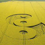 gambar crop circle, foto crop circle, alien, ufo, lingkaran tanaman, www.digaleri.com