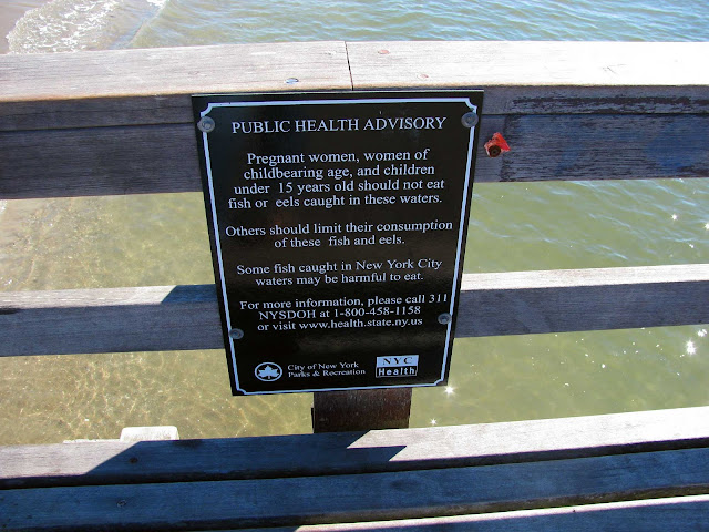 Water-Quality-at-Coney-Island