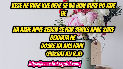  Hazrat Ali Quotes In Urdu