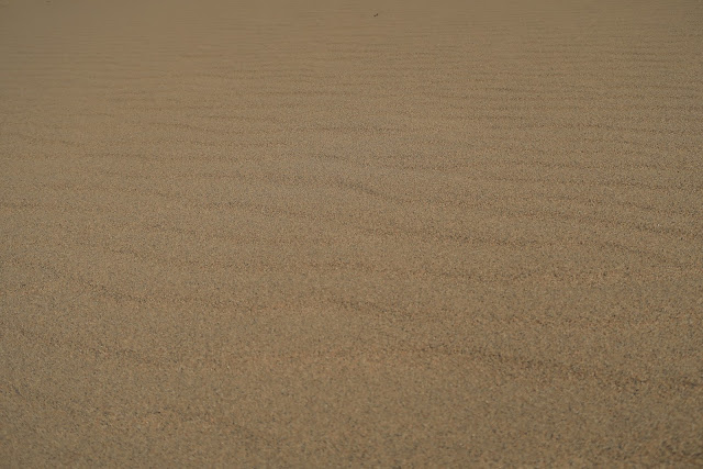 Tottori Sand Dunes