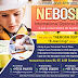 Why do you choose Online NEBOSH IDip Training in UAE?