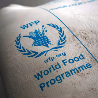 Apply for Electrical Engineer SSA 9, Damaturu Yobe State at World Food Programme (WFP)