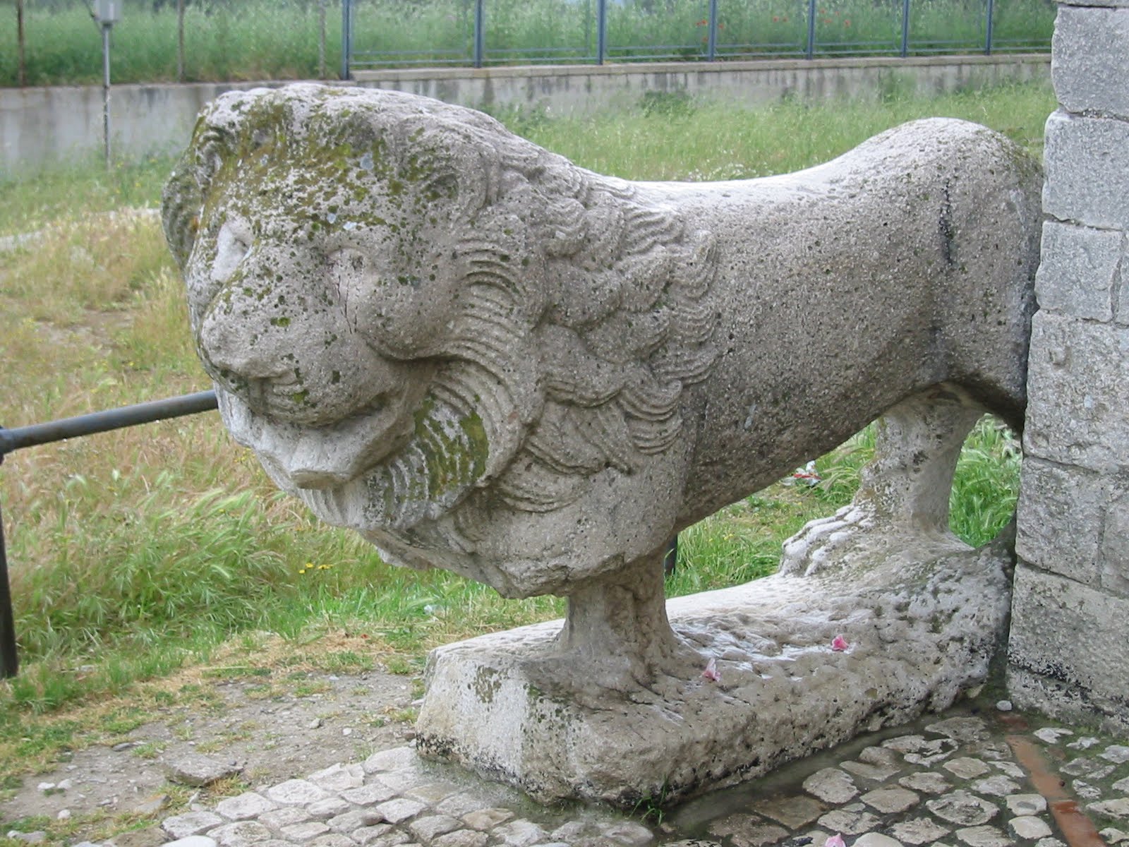 Trinità: leone