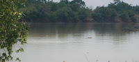 Rivière aux Hippopotames de Lofigué