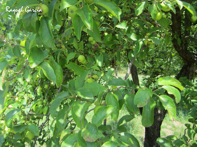 Parque lineal del Nervión de Amurrio a Llodio (Álava)