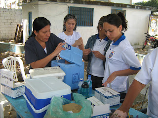 Pueblo Y Salud Distrito Sanitario 2 Marzo 2008