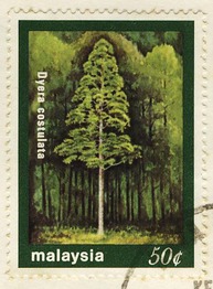 Stamps of Malaysia: Trees of Malaysia