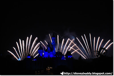 Disney Firework