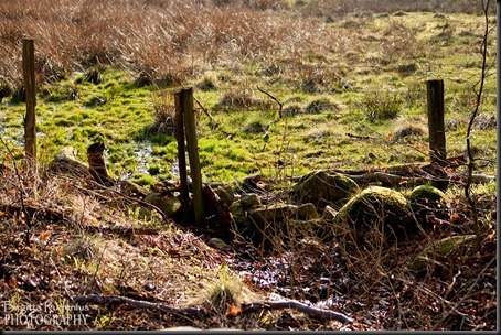nature_20120421