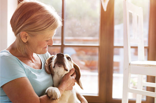 lady hugging dog