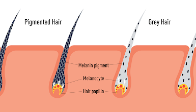 aging process