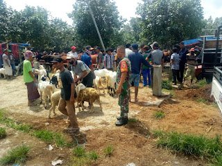 Cegah Kemacetan, Babinsa Koramil 0822/01 Bantu Atur Lalulintas di Pasar Hewan