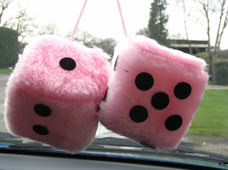 cool car accessories for girls